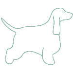 Cocker Spaniel